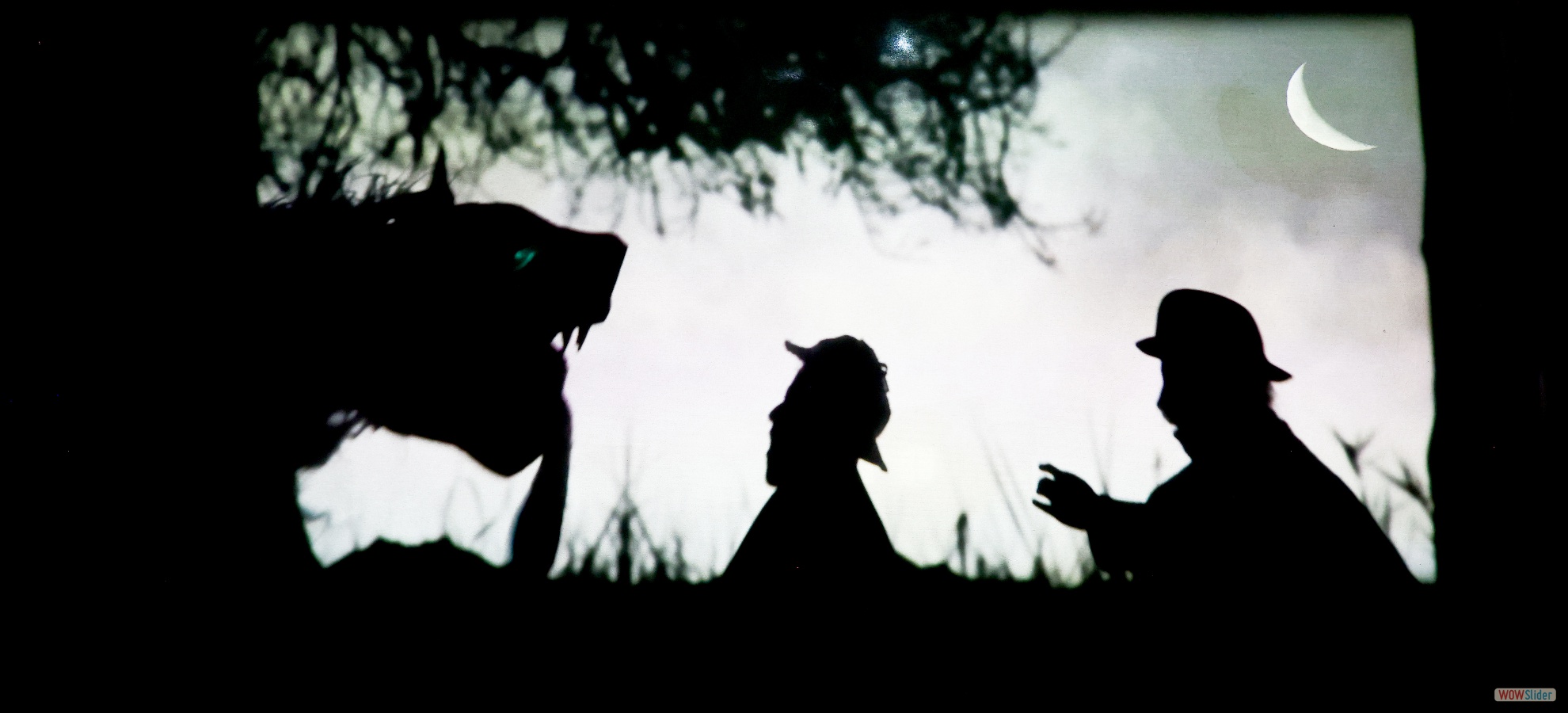 javascript image slider