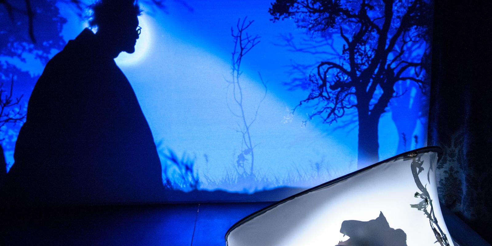 Shadow theater